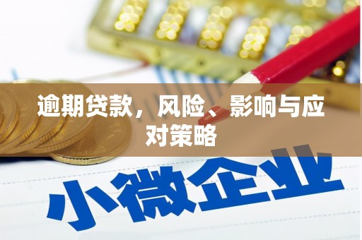 阿巴嘎旗逾期贷款，风险、影响与应对策略