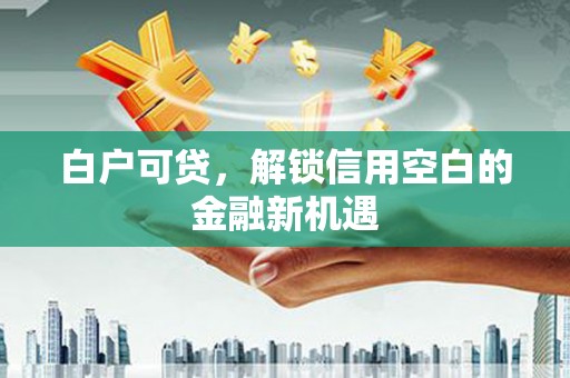 阿巴嘎旗白户可贷，解锁信用空白的金融新机遇