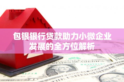 阿巴嘎旗包银银行贷款助力小微企业发展的全方位解析