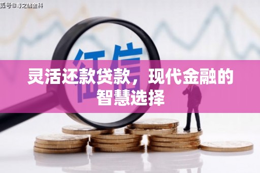 阿巴嘎旗灵活还款贷款，现代金融的智慧选择
