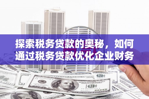 阿巴嘎旗探索税务贷款的奥秘，如何通过税务贷款优化企业财务
