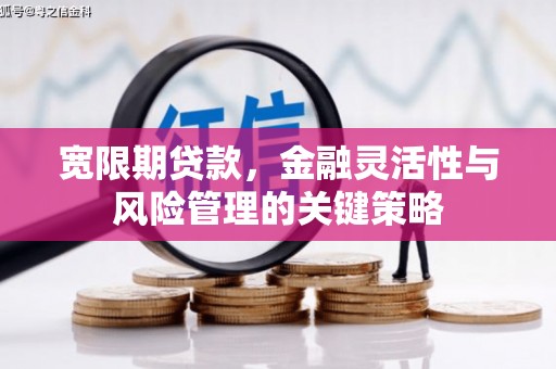 阿巴嘎旗宽限期贷款，金融灵活性与风险管理的关键策略