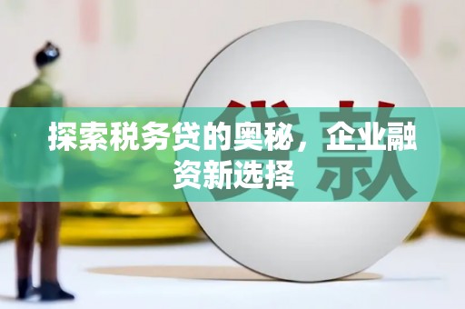 阿巴嘎旗探索税务贷的奥秘，企业融资新选择