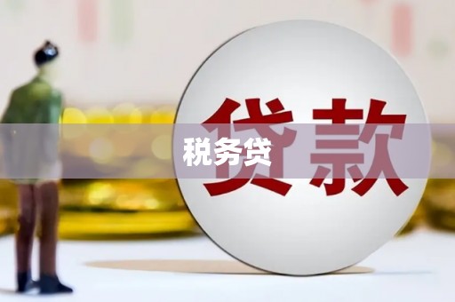 阿巴嘎旗税务贷