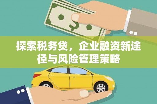 阿巴嘎旗探索税务贷，企业融资新途径与风险管理策略