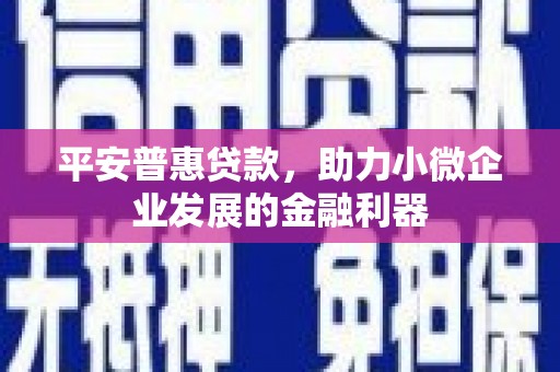 阿巴嘎旗平安普惠贷款，助力小微企业发展的金融利器