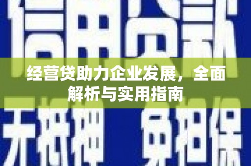 阿巴嘎旗经营贷助力企业发展，全面解析与实用指南
