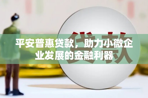 阿巴嘎旗平安普惠贷款，助力小微企业发展的金融利器