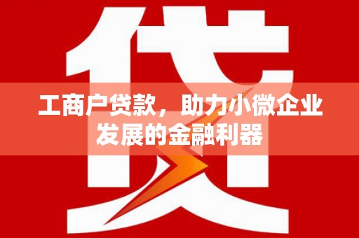 阿巴嘎旗工商户贷款，助力小微企业发展的金融利器