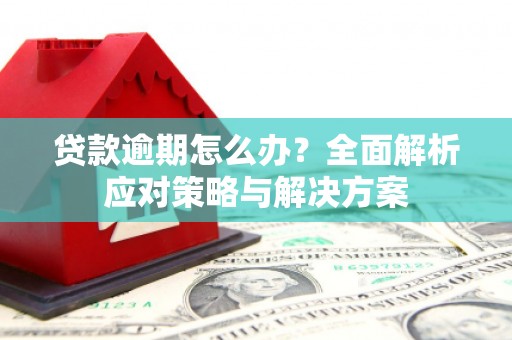 阿巴嘎旗贷款逾期怎么办？全面解析应对策略与解决方案