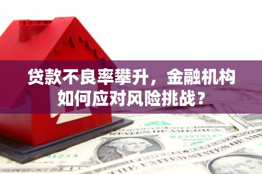 阿巴嘎旗贷款不良率攀升，金融机构如何应对风险挑战？