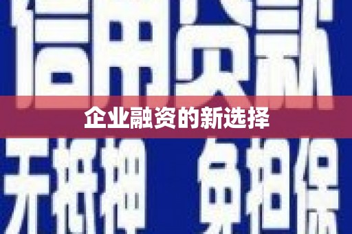 阿巴嘎旗企业融资的新选择