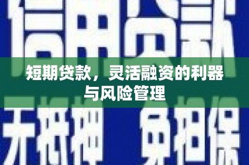 阿巴嘎旗短期贷款，灵活融资的利器与风险管理