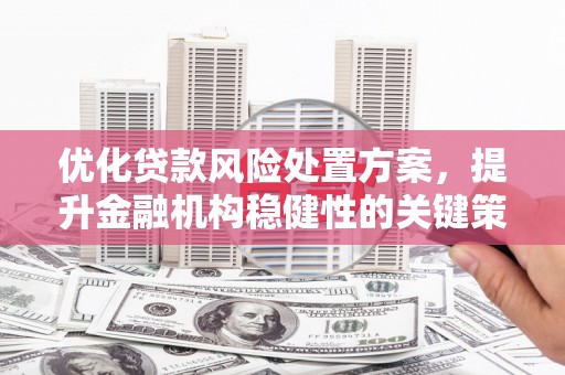 阿巴嘎旗优化贷款风险处置方案，提升金融机构稳健性的关键策略