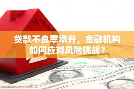 阿巴嘎旗贷款不良率攀升，金融机构如何应对风险挑战？