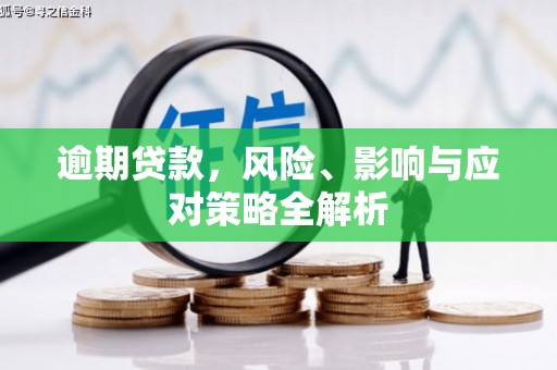 阿巴嘎旗逾期贷款，风险、影响与应对策略全解析