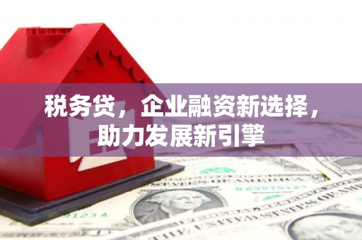 阿巴嘎旗税务贷，企业融资新选择，助力发展新引擎