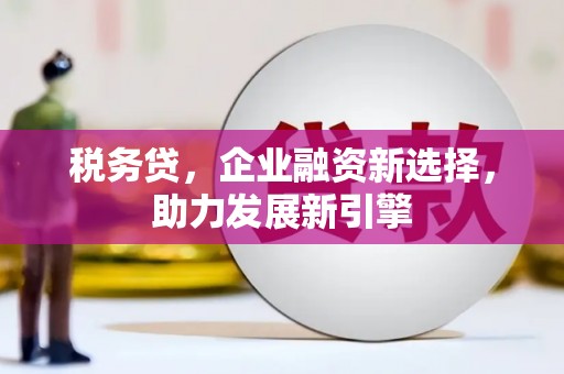 阿巴嘎旗税务贷，企业融资新选择，助力发展新引擎