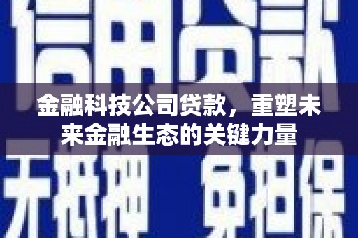 阿巴嘎旗金融科技公司贷款，重塑未来金融生态的关键力量