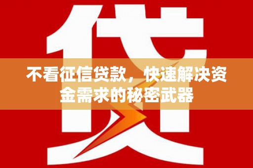 阿巴嘎旗不看征信贷款，快速解决资金需求的秘密武器