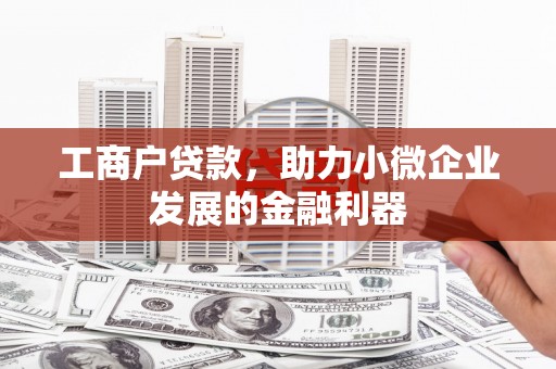 阿巴嘎旗工商户贷款，助力小微企业发展的金融利器