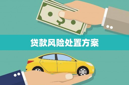 阿巴嘎旗贷款风险处置方案