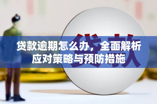 阿巴嘎旗贷款逾期怎么办，全面解析应对策略与预防措施