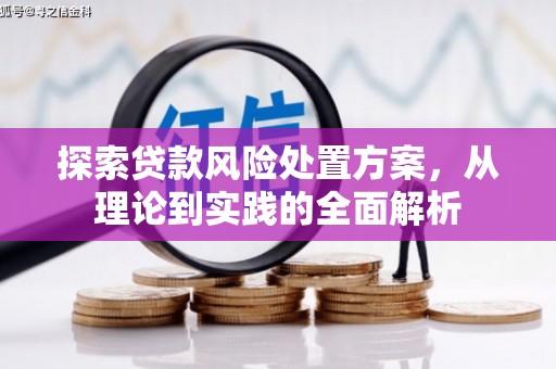阿巴嘎旗探索贷款风险处置方案，从理论到实践的全面解析