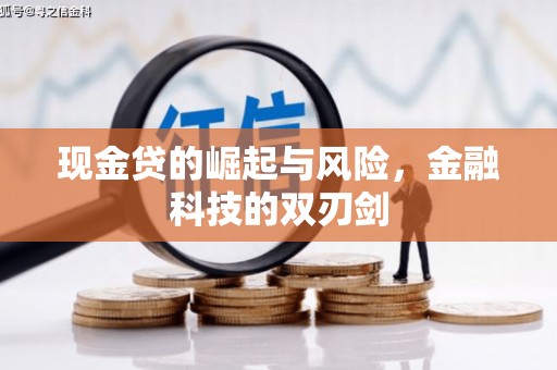 阿巴嘎旗现金贷的崛起与风险，金融科技的双刃剑