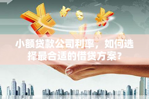阿巴嘎旗小额贷款公司利率，如何选择最合适的借贷方案？