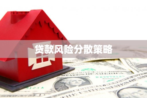 阿巴嘎旗贷款风险分散策略