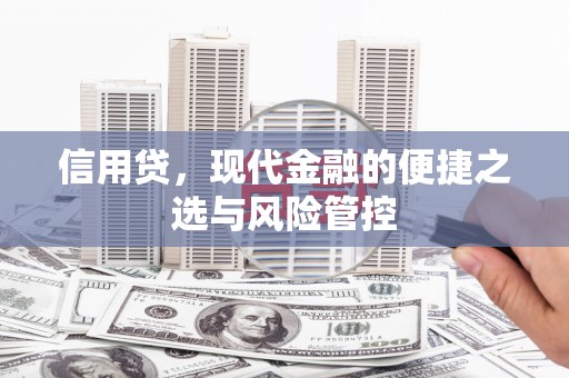 阿巴嘎旗信用贷，现代金融的便捷之选与风险管控