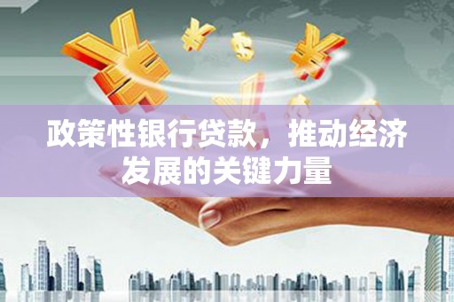 阿巴嘎旗政策性银行贷款，推动经济发展的关键力量