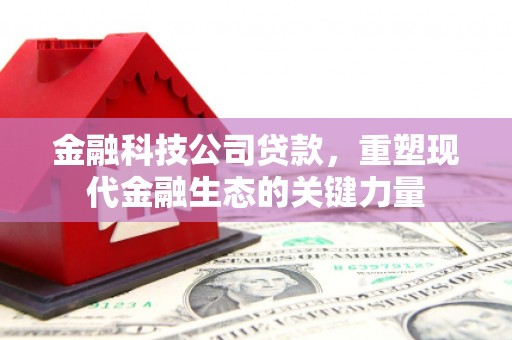 阿巴嘎旗金融科技公司贷款，重塑现代金融生态的关键力量