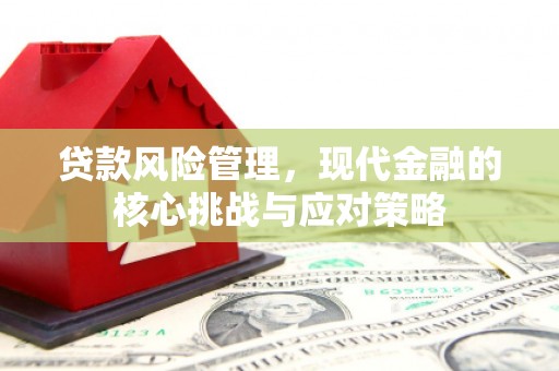 阿巴嘎旗贷款风险管理，现代金融的核心挑战与应对策略