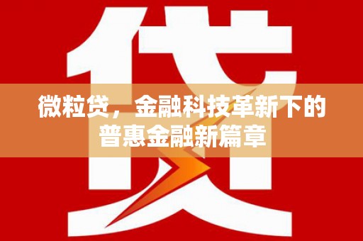 阿巴嘎旗微粒贷，金融科技革新下的普惠金融新篇章