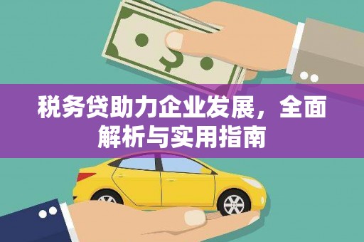 阿巴嘎旗税务贷助力企业发展，全面解析与实用指南