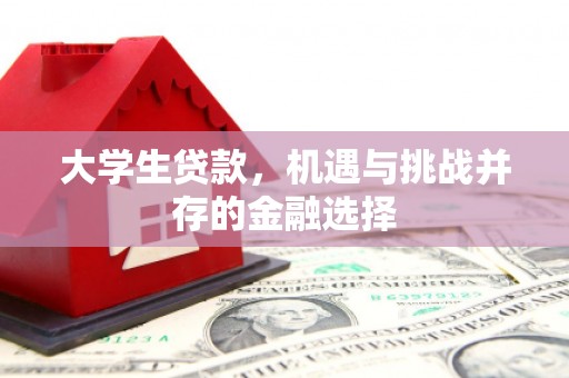 阿巴嘎旗大学生贷款，机遇与挑战并存的金融选择