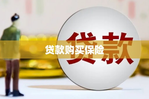 阿巴嘎旗贷款购买保险