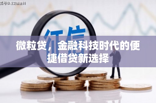 阿巴嘎旗微粒贷，金融科技时代的便捷借贷新选择