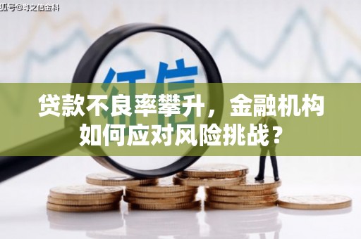阿巴嘎旗贷款不良率攀升，金融机构如何应对风险挑战？