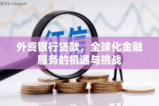 阿巴嘎旗外资银行贷款，全球化金融服务的机遇与挑战