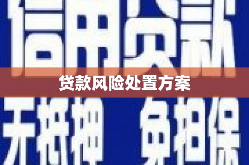 阿巴嘎旗贷款风险处置方案