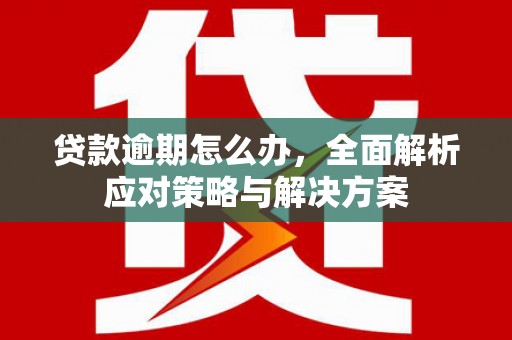阿巴嘎旗贷款逾期怎么办，全面解析应对策略与解决方案