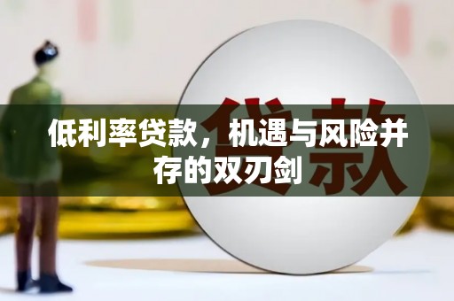 阿巴嘎旗低利率贷款，机遇与风险并存的双刃剑