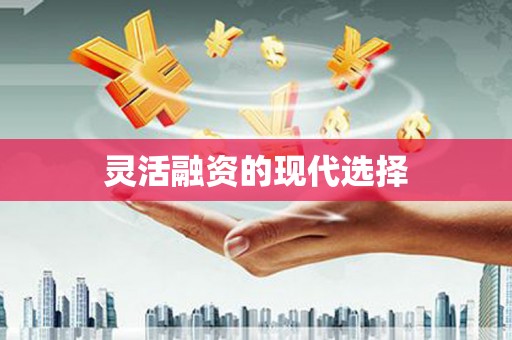 阿巴嘎旗灵活融资的现代选择