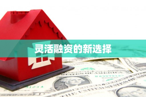 阿巴嘎旗灵活融资的新选择