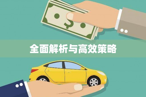阿巴嘎旗全面解析与高效策略