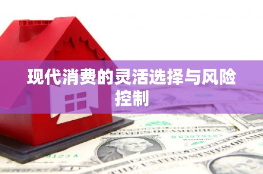 阿巴嘎旗现代消费的灵活选择与风险控制