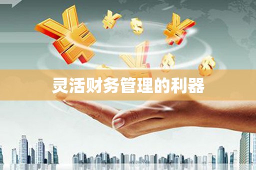 阿巴嘎旗灵活财务管理的利器